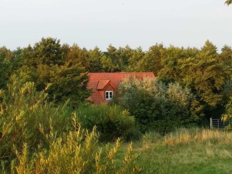 Ferienwohnung Altneukoog Tetenbull Exterior photo